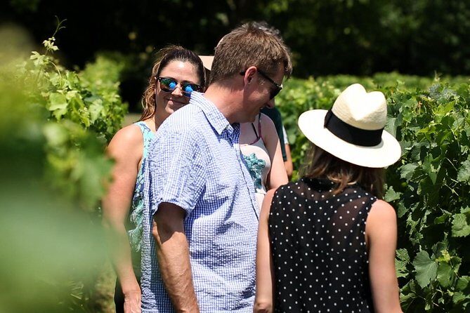 Loire Valley Half Day Wine Tour from Tours : Vouvray Wine Tasting - What the Reviews Highlight