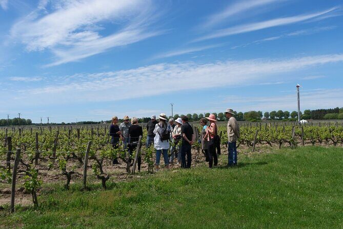 Loire Valley Wines Private Day Tour with Tastings from Tours or Amboise - Who Will Love This Tour?