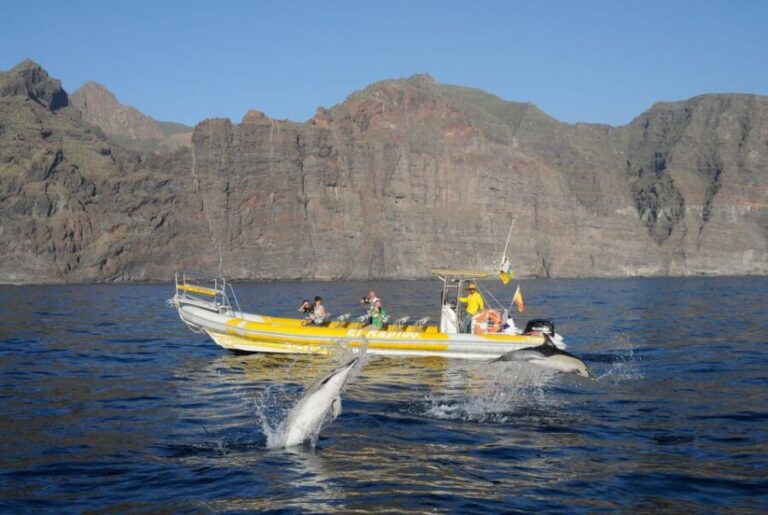 Los Gigantes: Dolphin and Whale Watching Cruise by Speedboat - What Travelers Say: Authentic Voices