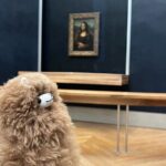 Louvre: All the stars of museum - Private guided 3h tour & entry - Exploring the Louvre: What’s Included and What’s Not