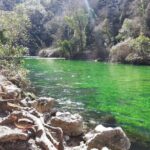 Luberon and Chateauneuf du Pape Wine Tour - Authentic Feedback from Travelers