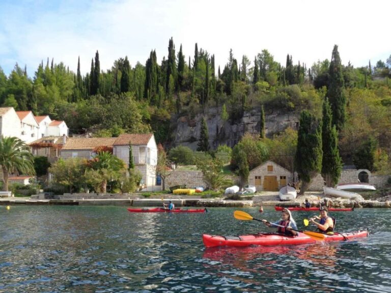 Lumbarda: Half-Day Kayaking and History with Wine delight - Why This Tour Is Worth It