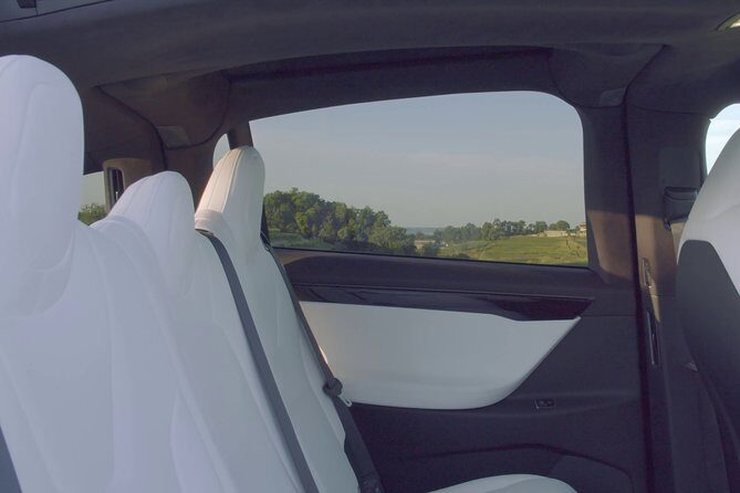 Luxurious full day Bordeaux wine tour in a Tesla - What to Expect from the Day