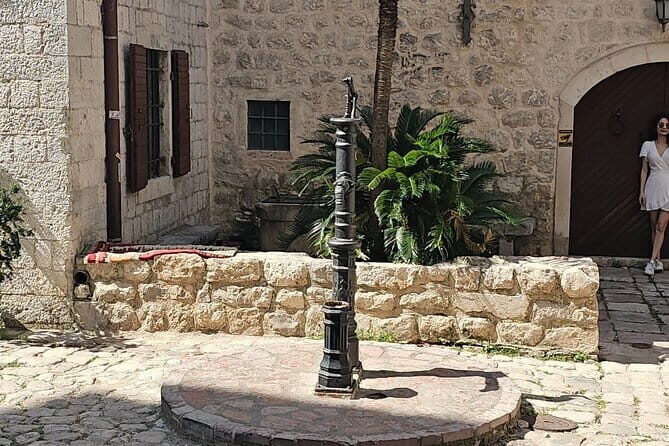 Luxury Day tour to Montenegro - The Real Experience: Insights from Reviews