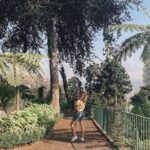 Madeira : An wonderful West Tour from Funchal (Pickup included) - Final Thoughts