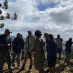 Madeira: Birdwatching - The Endemics - A Deep Dive into the Experience