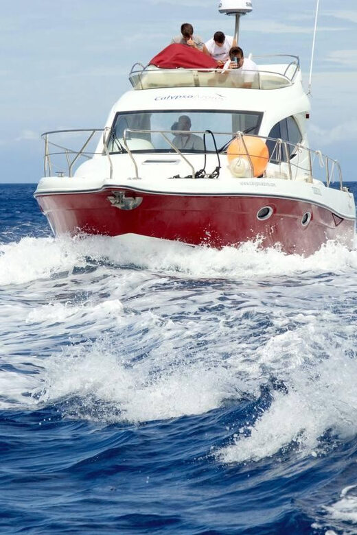 Madeira: Boat trip - The 8-Hour Extended Experience