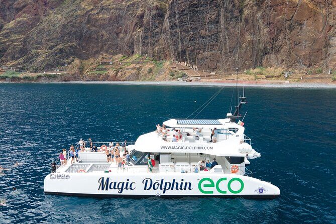 Madeira Dolphin and Whale Watching on a Ecological Catamaran - Who Should Consider This Tour?