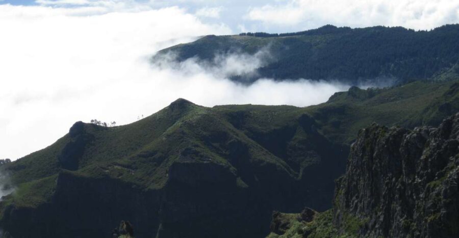 Madeira: Full-Day Pico Ruivo / Achada do Teixeira Walk - What to Expect on the Trail