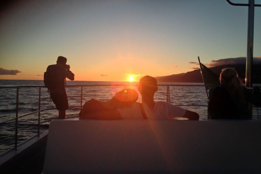 Madeira: Funchal Sunset Tour by Catamaran - Why This Tour Delivers Real Value