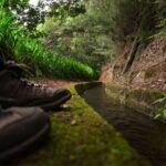 Madeira Island: Caldeirão Verde Levada Walk - Who Is This Tour Best For?