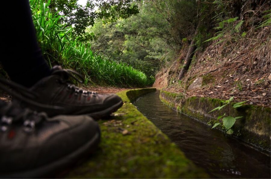 Madeira Island: Caldeirão Verde Levada Walk - Who Is This Tour Best For?