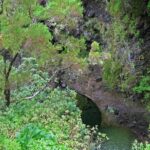 Madeira Levada Walk - Rabacal Lakes and Fountains - What to Expect from the Guided Experience