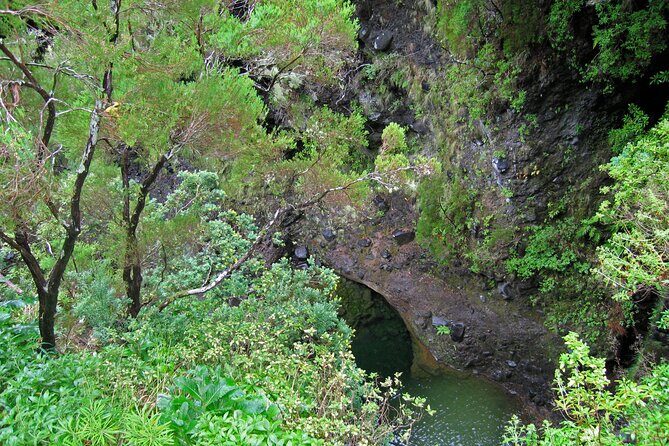 Madeira Levada Walk - Rabacal Lakes and Fountains - What to Expect from the Guided Experience