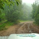 Madeira: Mini-Combo East Challenge: Jeep Safari + Levada - What makes this tour stand out?
