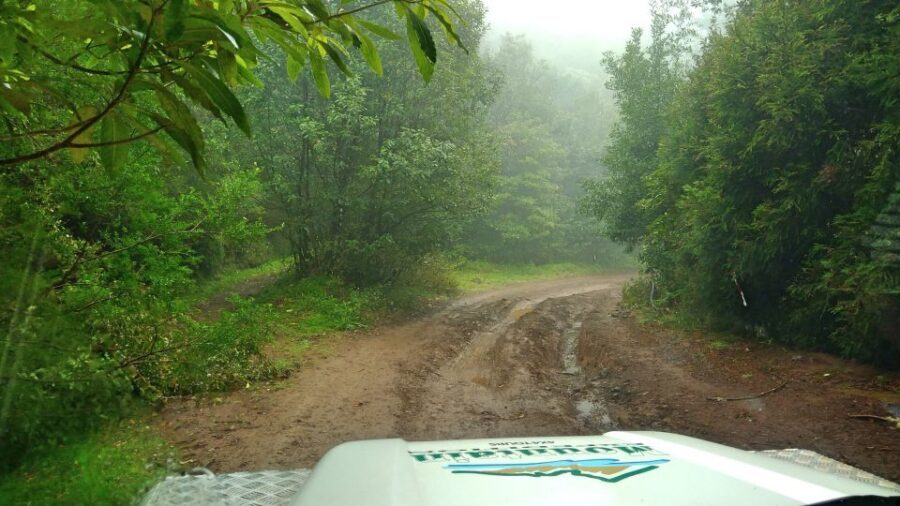 Madeira: Mini-Combo East Challenge: Jeep Safari + Levada - What makes this tour stand out?