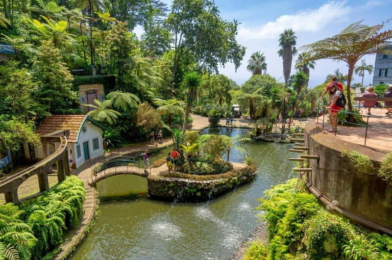 Madeira: Monte Tropical Gardens + Old Town Tuk Tuk by MadTuk - Exploring Funchal’s Market and Streets