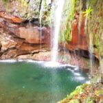 Madeira: Mountain Walk with Lagoon and Waterfalls - Who Should Consider This Tour?