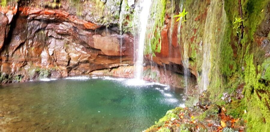 Madeira: Mountain Walk with Lagoon and Waterfalls - Who Should Consider This Tour?