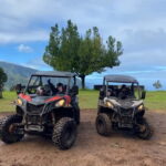 Madeira: Off-Road Buggy Driving Experience - The Sum Up