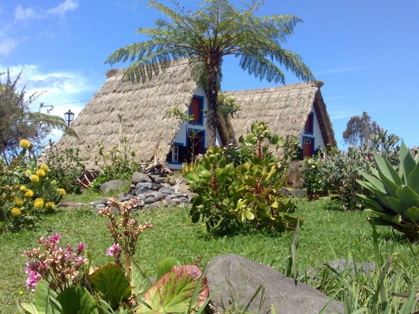 Madeira: Pico do Arieiro & Laurissilva Forest - East tour - Final Thoughts