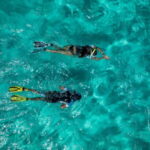 Madeira: Ponta de São Lourenço Snorkeling Boat trip - Why You’ll Love This Trip