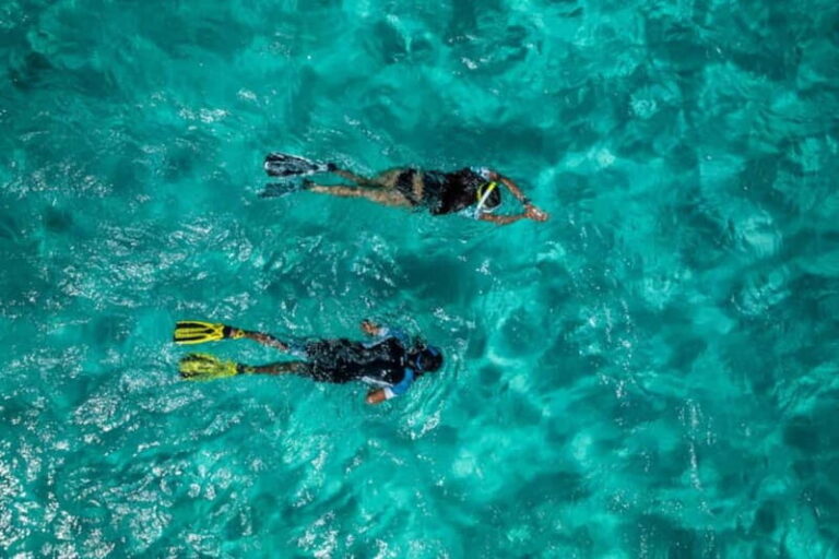 Madeira: Ponta de São Lourenço Snorkeling Boat trip - Why You’ll Love This Trip
