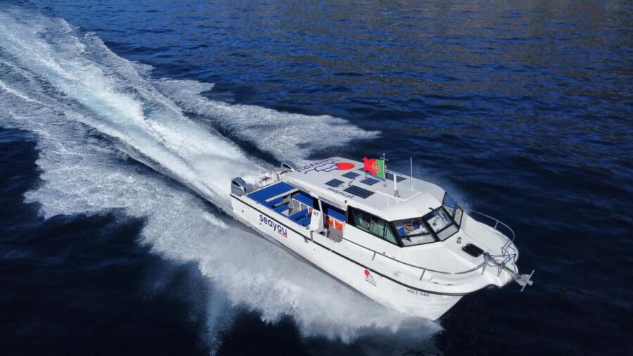 Madeira: Private Cruise - Departure From Funchal - Practical Tips for Booking and Enjoying Your Cruise
