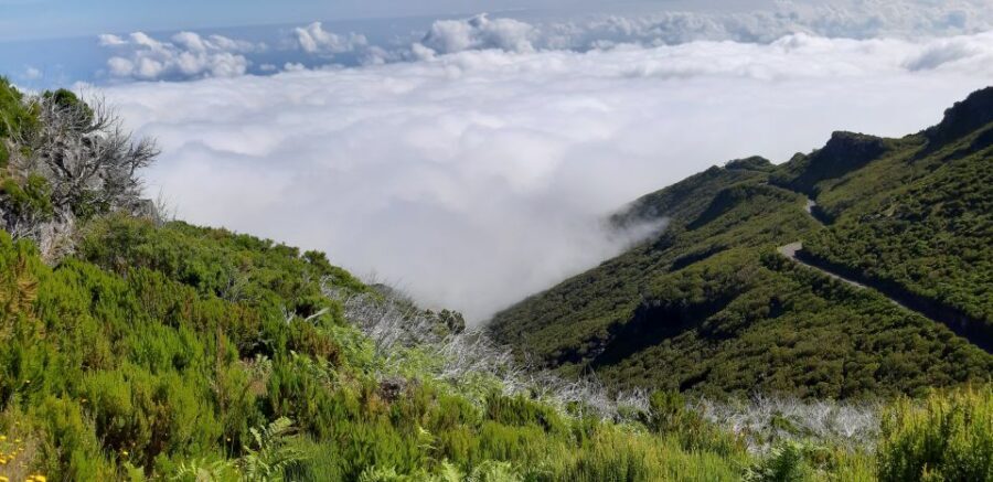 Madeira: Private Guided Achadas Teixeira - Pico Ruivo PR1.1 - Exploring Madeiras Highest Peak: What to Expect
