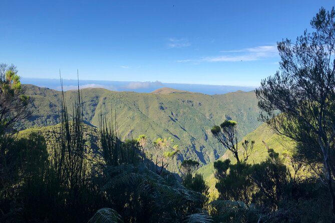 Madeira: Private Guided Walk Vereda Fanal PR13 - FAQs