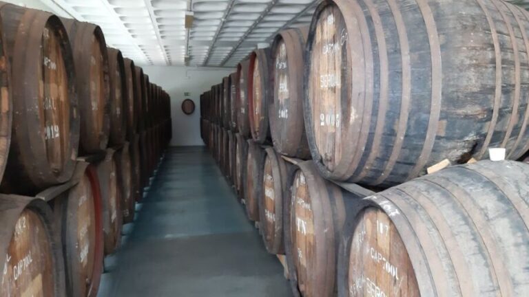 Madeira: Private Half-Day Wine Tasting Tour - Final Thoughts: Who Will Love This Tour?