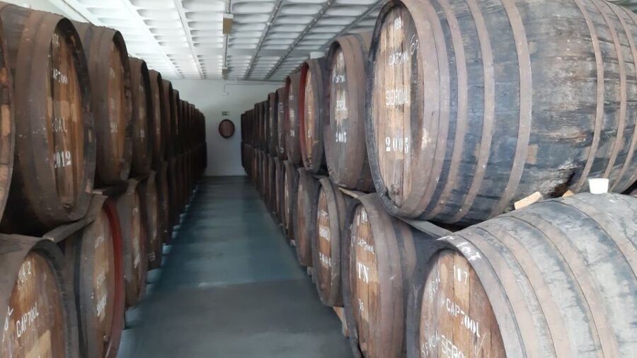 Madeira: Private Half-Day Wine Tasting Tour - Final Thoughts: Who Will Love This Tour?