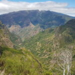 Madeira: Private Laurisilva Tour - Who Should Consider This Tour?