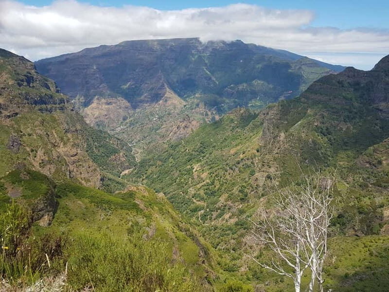 Madeira: Private Laurisilva Tour - Who Should Consider This Tour?