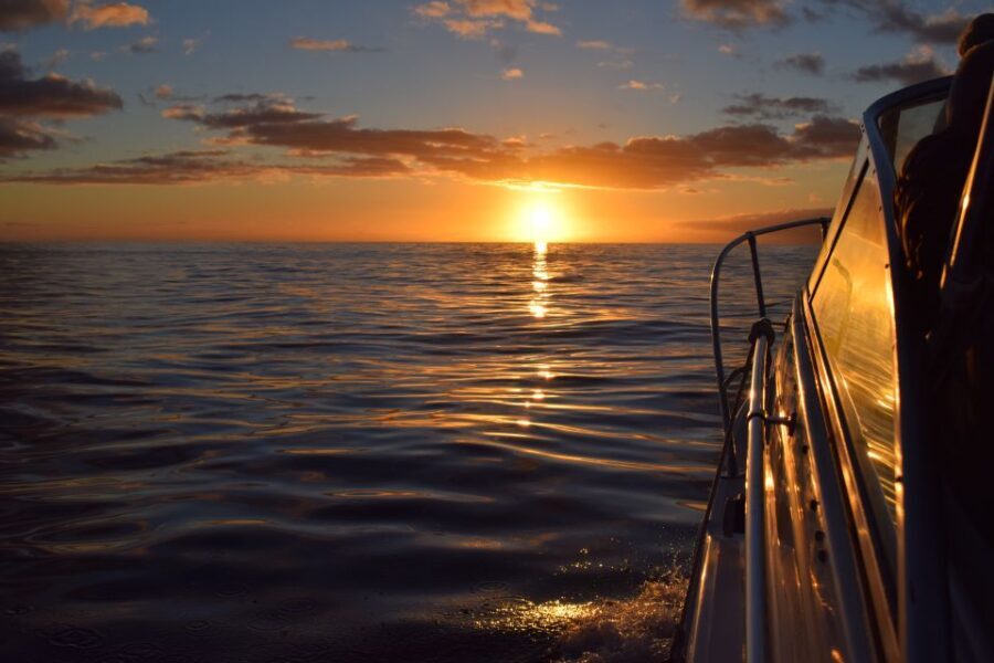 Madeira: Private Sunset Yacht Cruise with Snorkeling & Wine - Who Is This Tour Best For?
