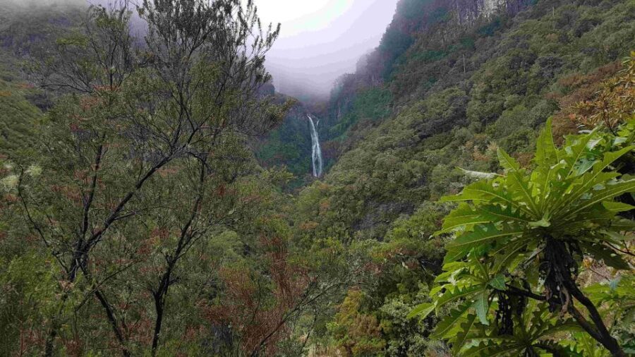 Madeira: Private Walking Tour of Levada das 25 Fontes PR6 - A Deep Dive into the Levada das 25 Fontes Tour