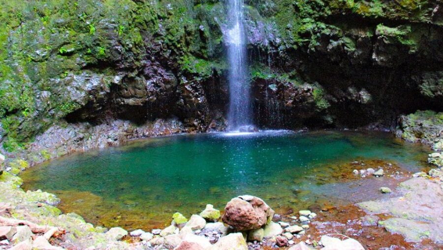 Madeira: Queimadas, Caldeirão Verde and Levada Walk - Final Thoughts: Is It Worth It?