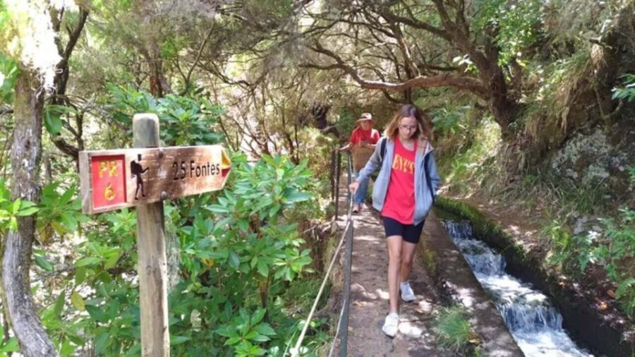 Madeira: Rabaçal, Risco and 25 Fontes Guided Hiking Tour - Who Is This Tour Best For?