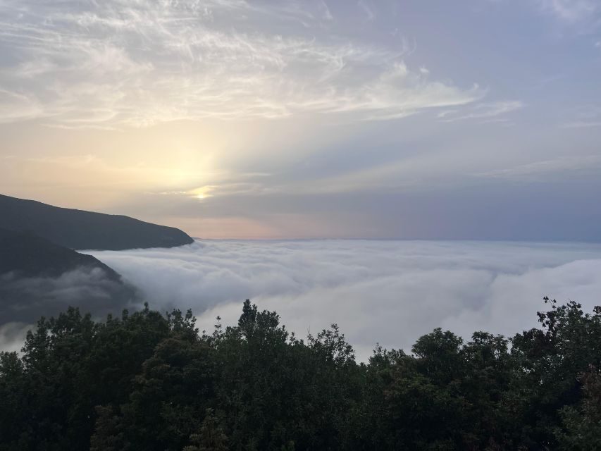 Madeira surprise tour 4x4 - The Sum Up: Is This Tour Right for You?
