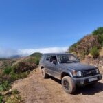 Madeira West 4x4 Jeep Safari: Wild Coast, Lava Pools & Fanal - Practical Details and Value