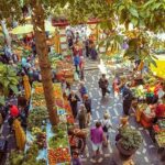 Madeira Wine Tasting and Funchal City tour - FAQ
