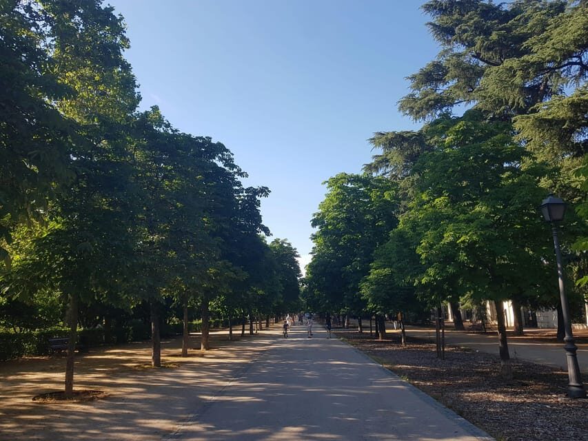 Madrid Bike Tour with Churros plus Ham & Wine Tasting Option - Who Will Love This Tour?
