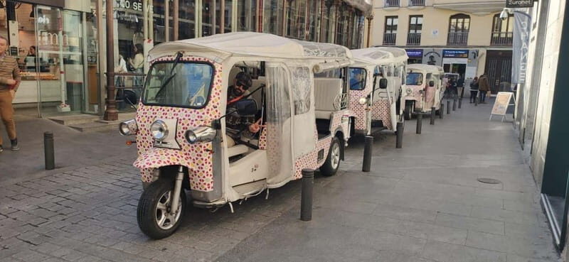 Madrid: City Tours - 6 seats private ecological tuk tuk - Who Would Love This Tour?