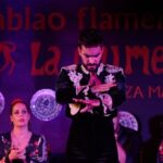 Madrid: Flamenco Show La Quimera with Drinks & Dinner Option - An In-Depth Look at the Flamenco La Quimera Experience