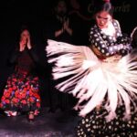 Madrid: Flamenco Show with Tapas and Wine Tour - Who Should Consider This Tour?