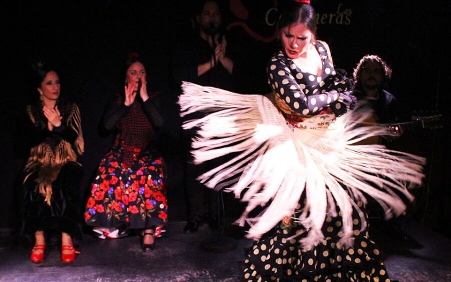 Madrid: Flamenco Show with Tapas and Wine Tour - Who Should Consider This Tour?