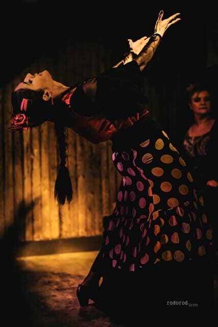 Madrid: Local Flamenco Show at El Cortijo - Who Should Consider This Experience?