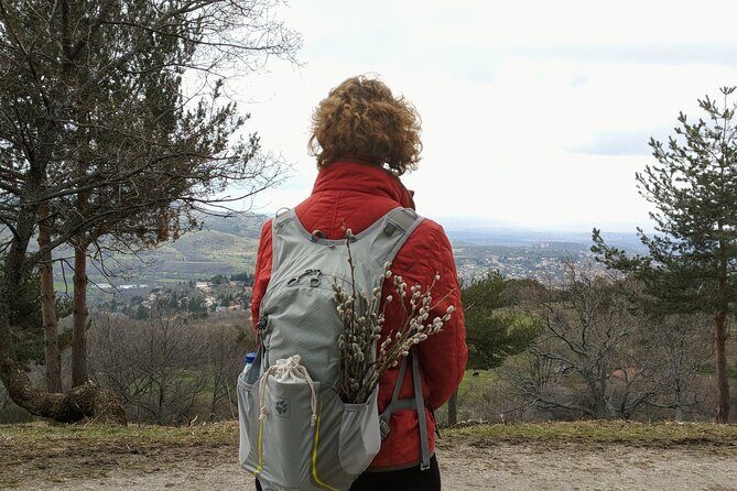Madrid Mountains Free Walking Tour - Who Will Love This Tour?