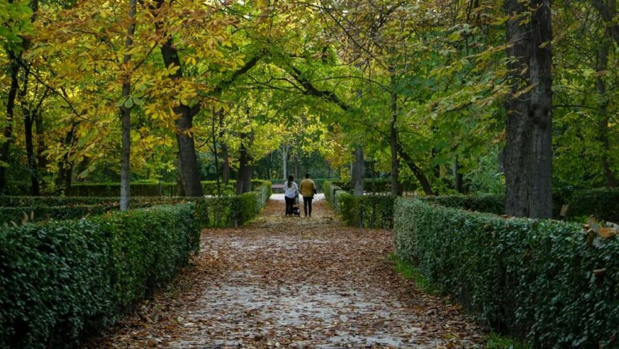 Madrid: Private Retiro Park Tour With Local Guide - Additional Details