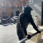 Madrid: walk through the Barrio de los Austrias with the option of visiting the Prado Museum - Who Should Consider This Tour?